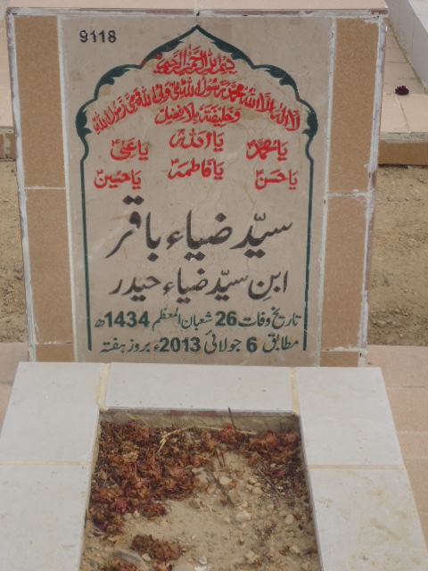 9118 – Syed Zia Baqar
