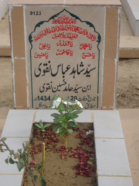 9123 – Syed Shahid Abbas Naqvi