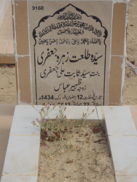 9160 – Syeda Talat Zehra Jaffery