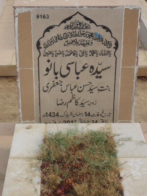 9163 – Syeda Abbasi Bano