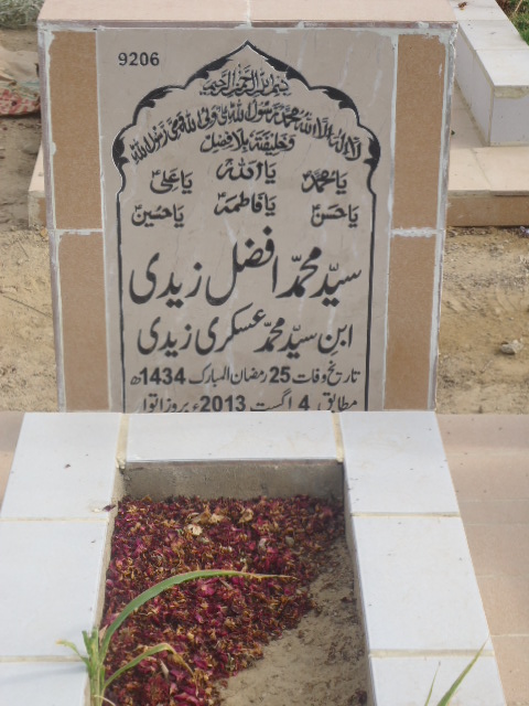 9206 – Syed Muhammad Afzal Zaidi