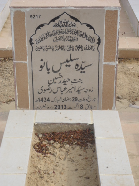 9217 – Syeda Salees Bano