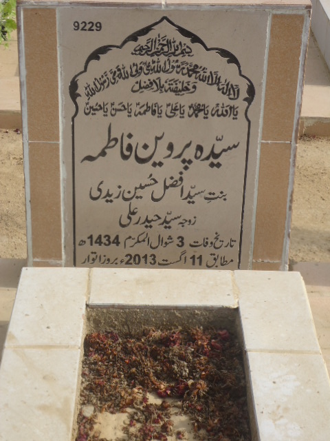 9229 – Syeda Parveen Fatima