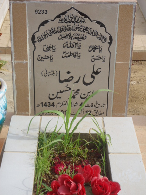 9233 – Ali Raza