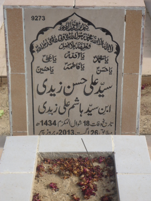 9273 – Syed Ali Hasan Zaidi
