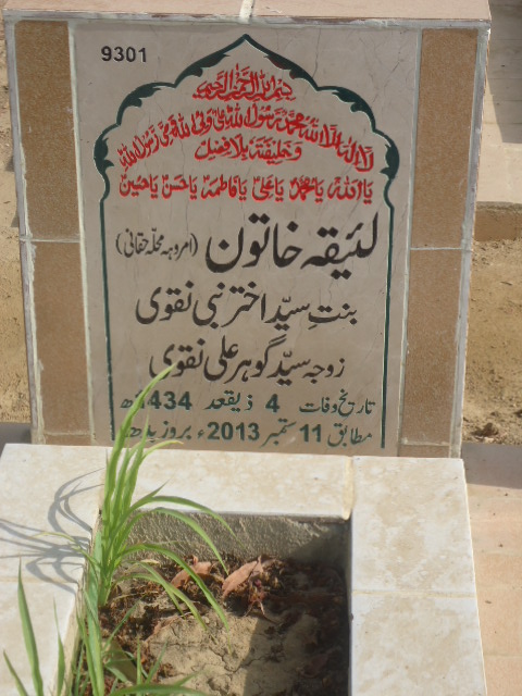 9301 – Laiqa Khatoon