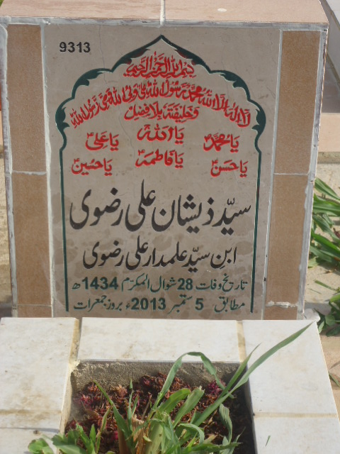 9313 – Syed Zeeshan Ali Rizvi