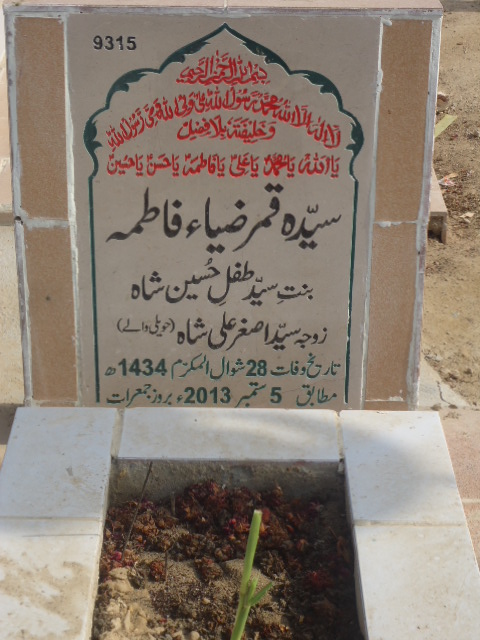 9315 – Syeda Qamar Zia Fatima