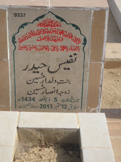 9337 – Nafees Haider