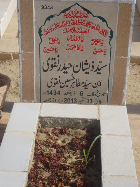 9343 – Syed Zeeshan Haider Naqvi