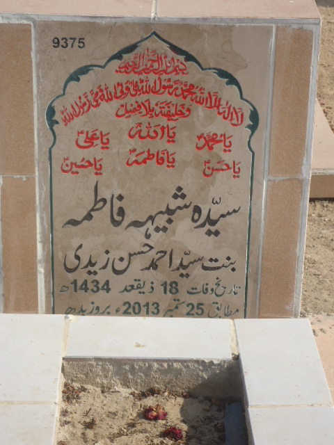 9375 – Syeda Shabhe Fatima