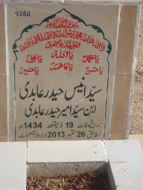 9380 – Syed Anees Haider Abidi