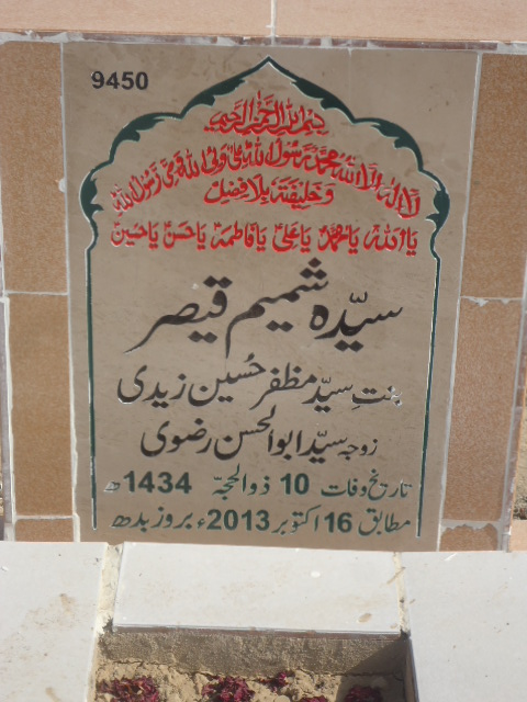 9450 – Syeda Shamin Haider