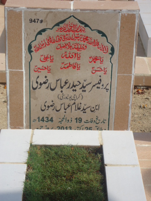 9479 – Prof Syed Haider Abbas Rizvi