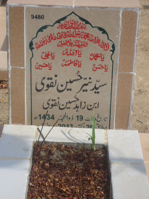 9480 – Syed Nayyer Hussain Naqvi