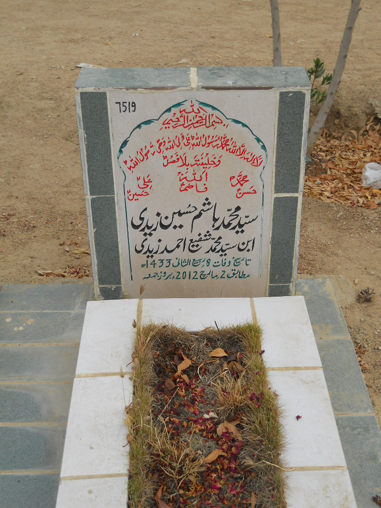 7519 – Syed Muhammad Hashim Zaidi