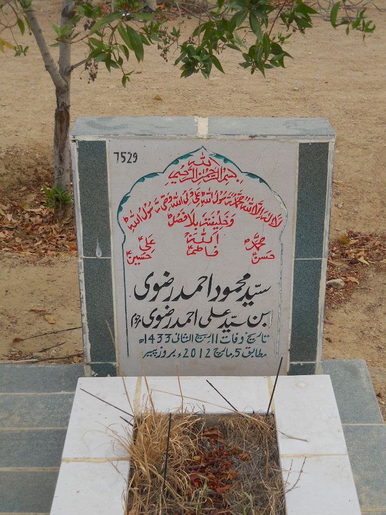 7529 – Syed Mehmood Ahmed Rizvi