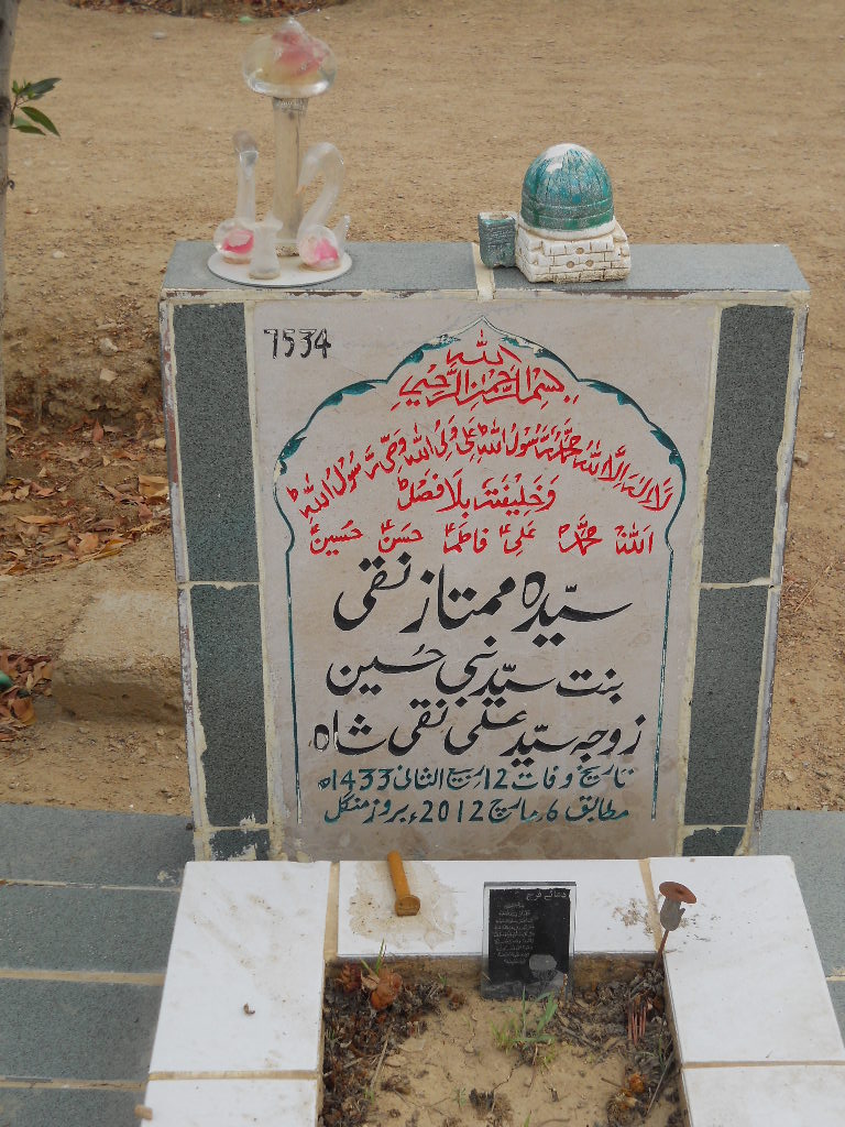 7534 – Syeda Mumtaz Naqi