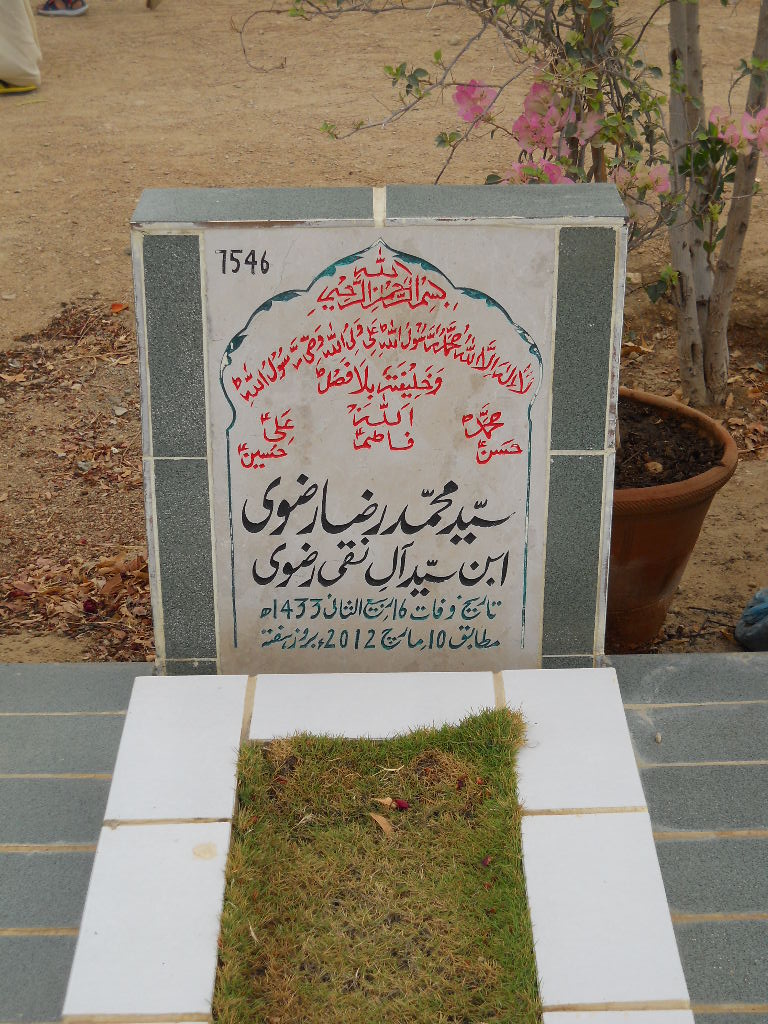 7546 – Syed Muhammad Raza Rizvi