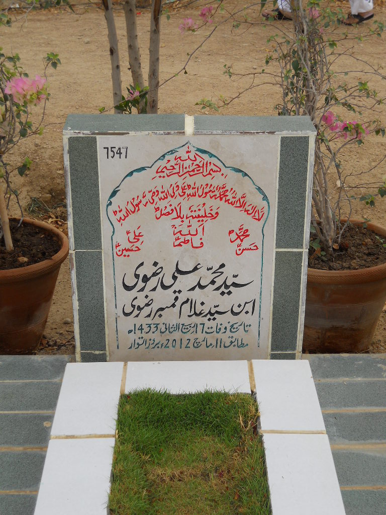 7547 – Syed Muhammad Ali Rizvi