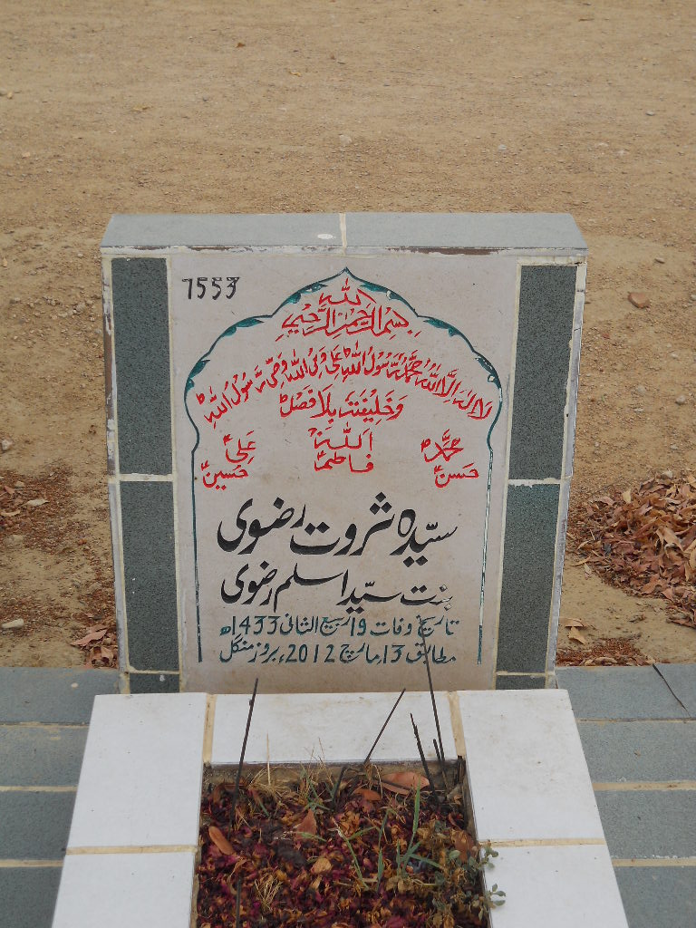 7553 – Syeda Sarwat Rizvi