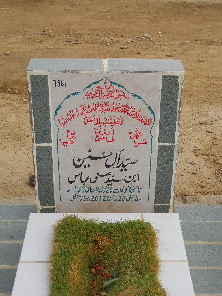 7581 – Syed Alay Hasnain