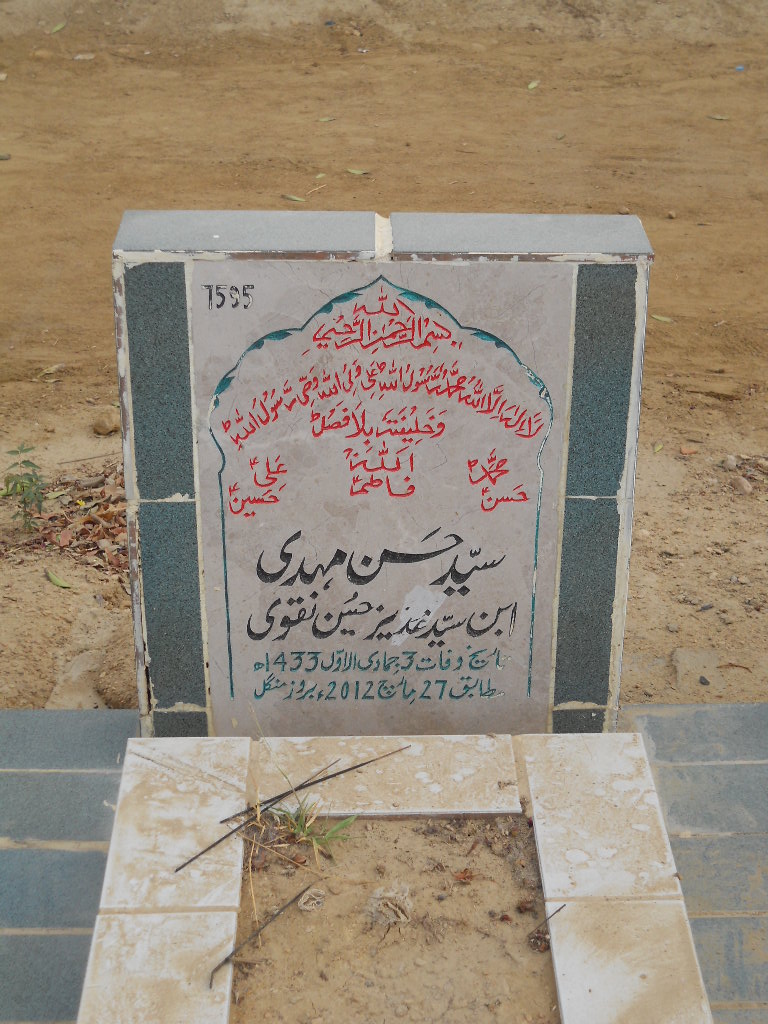 7595 – Syed Hasan Mehdi