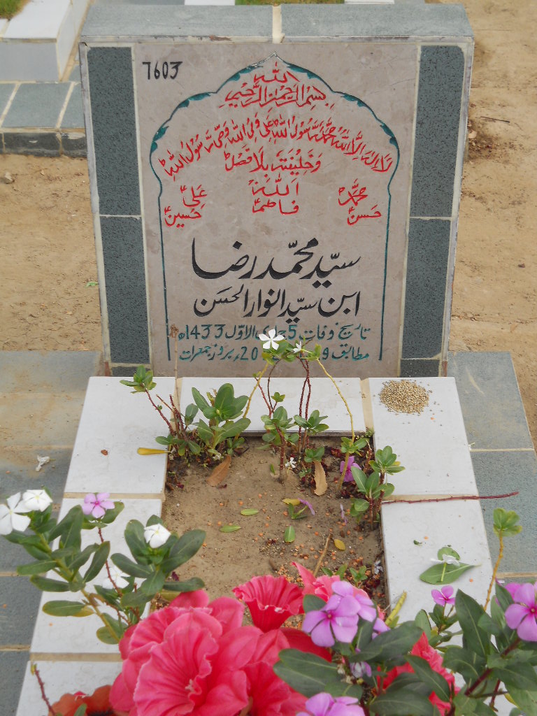 7603 – Syed Muhammad Raza