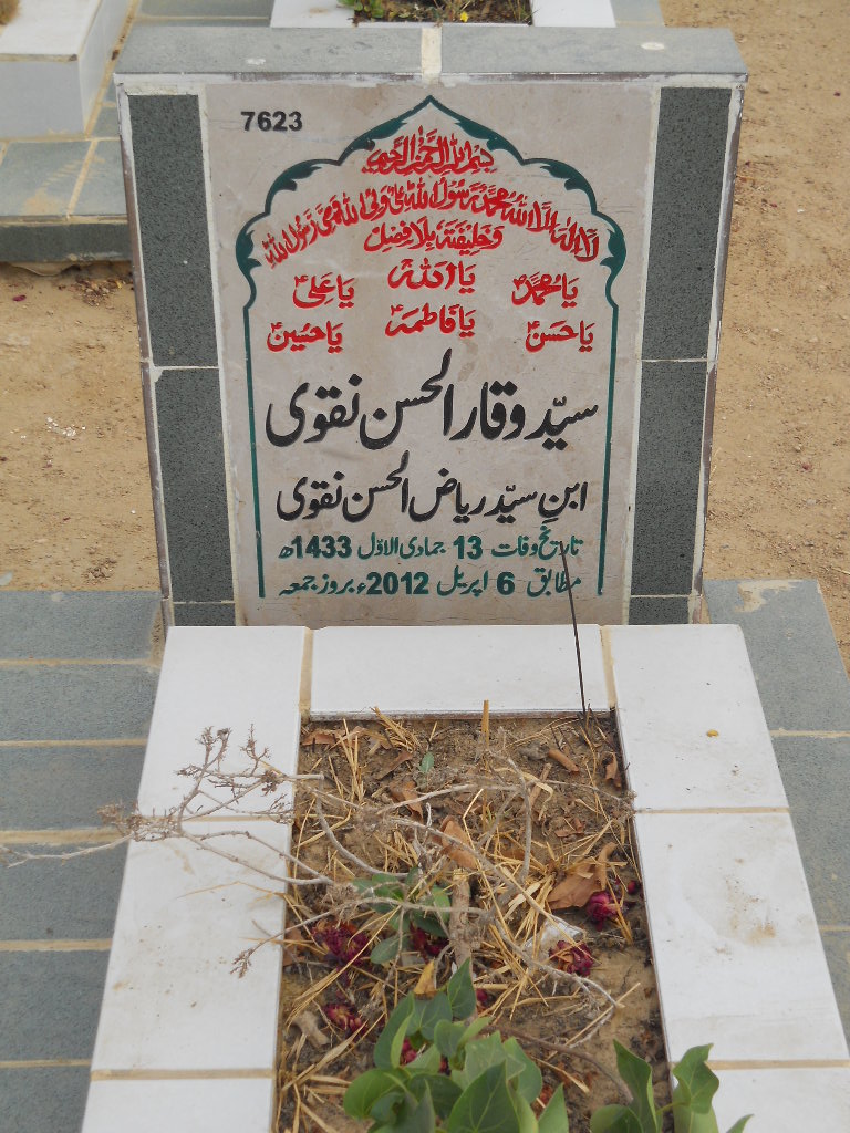 7623 – Syed Waqar Ul Hasan Naqvi