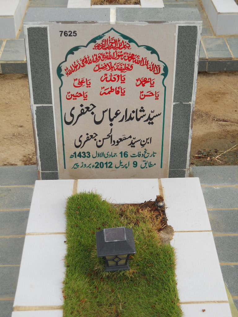 7625 – Syed Shandar Abbas Jaffery