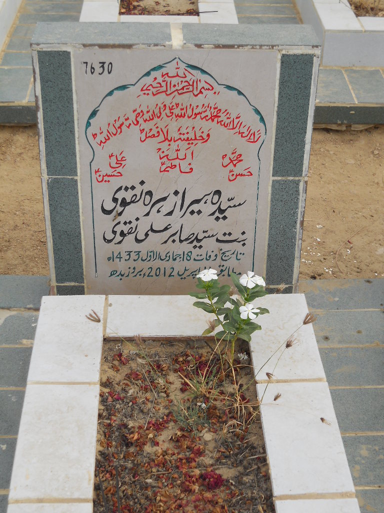 7630 – Syeda Hira Zehra Naqvi