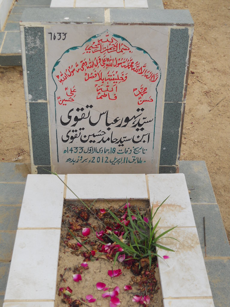 7633 – Syed Tehwar Abbas Taqvi