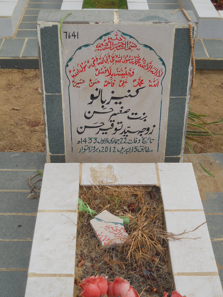 7641 – Kaneez Hasan
