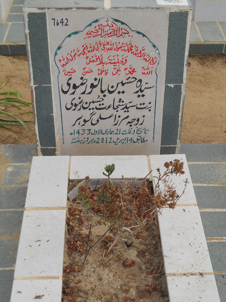 7642 – Syeda Hussain Bano Rizvi