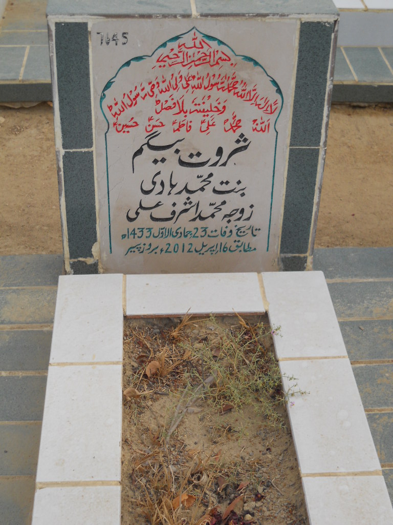 7645 – Sarwat Begum