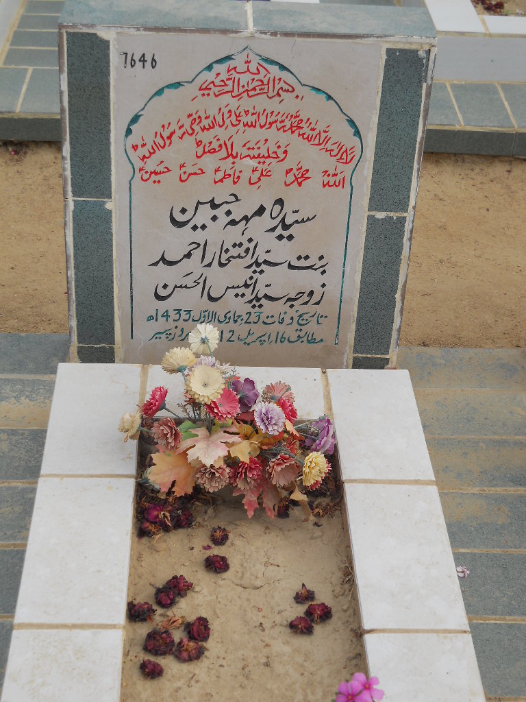 7646 – Syeda Mehjabeen