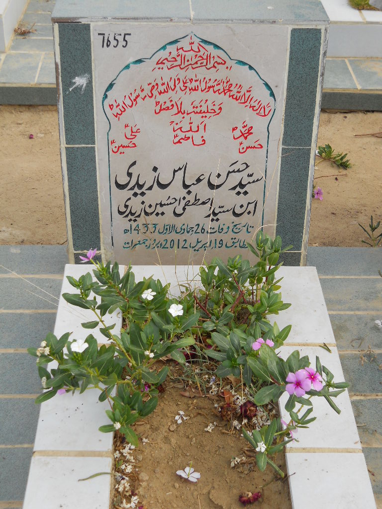 7655 – Syed Hasan Abbas Zaidi