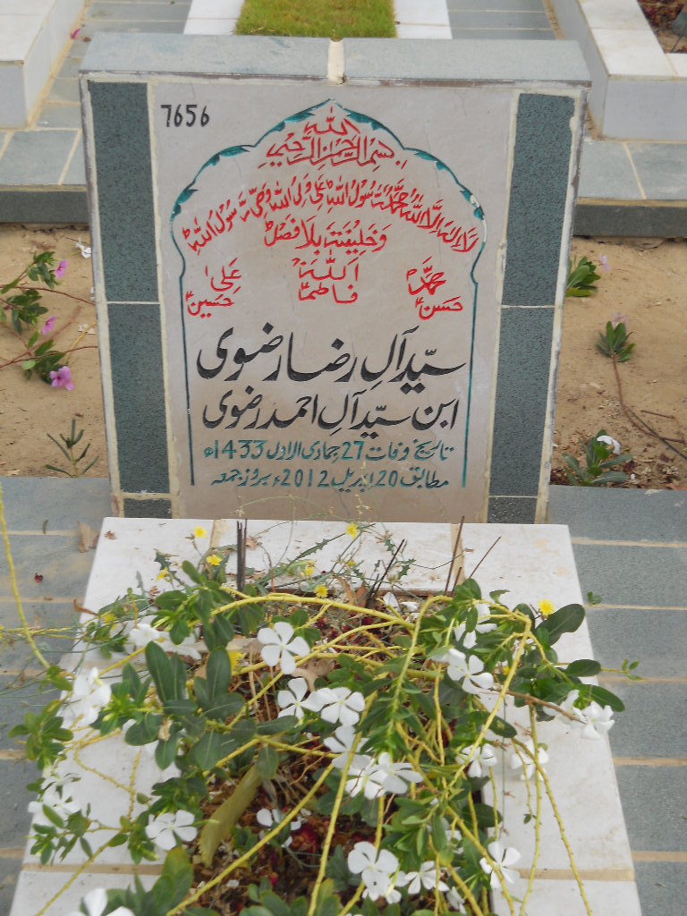 7656 – Syed Alay Raza Rizvi