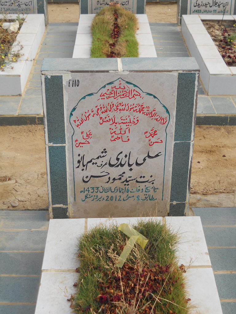 7710 – Ali Bandi