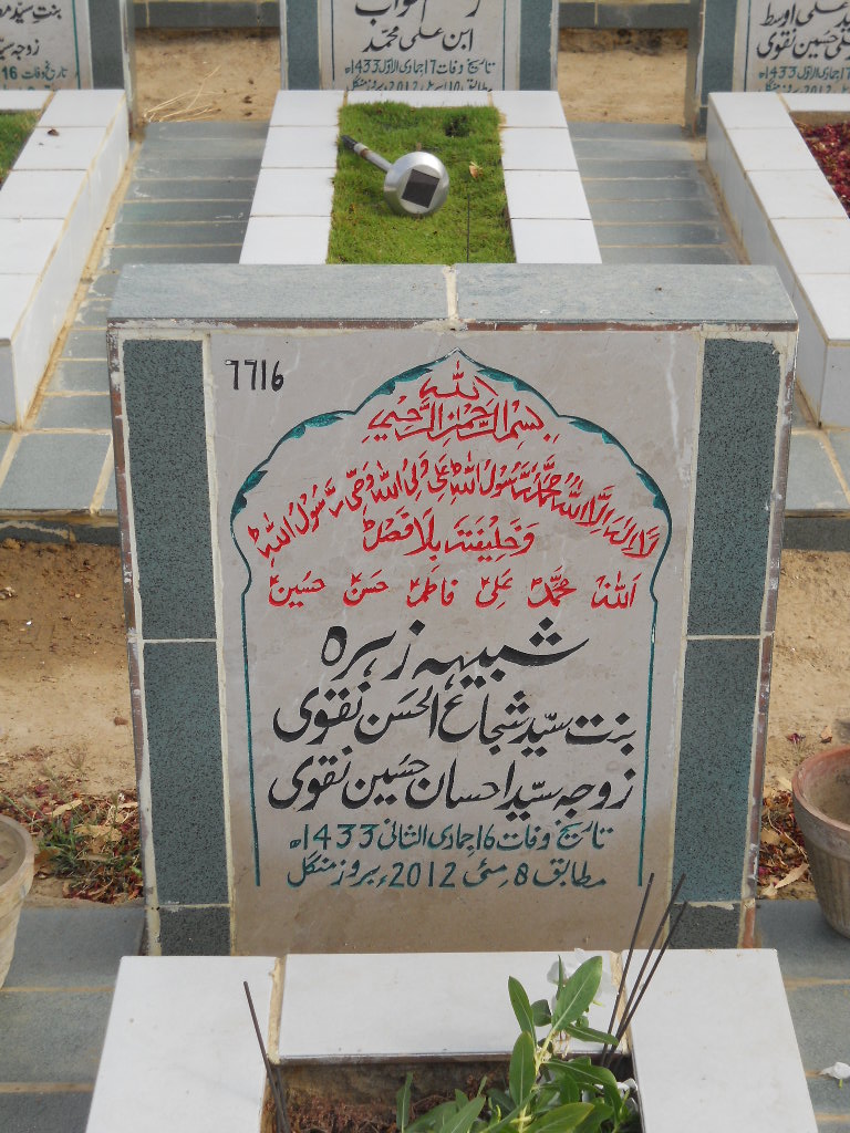 7716 – Shabhi Zehra
