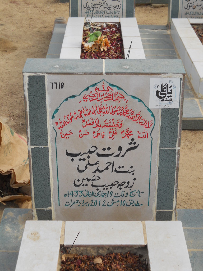 7718 – Sarwat Habib