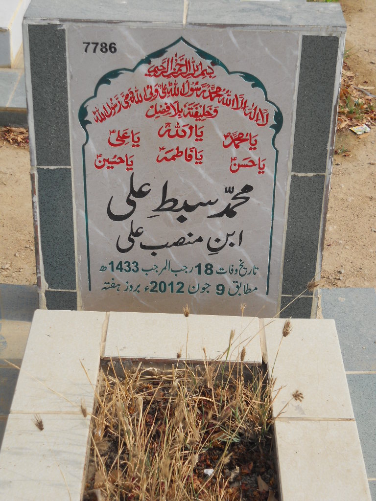 7786 – Sibtay Ali