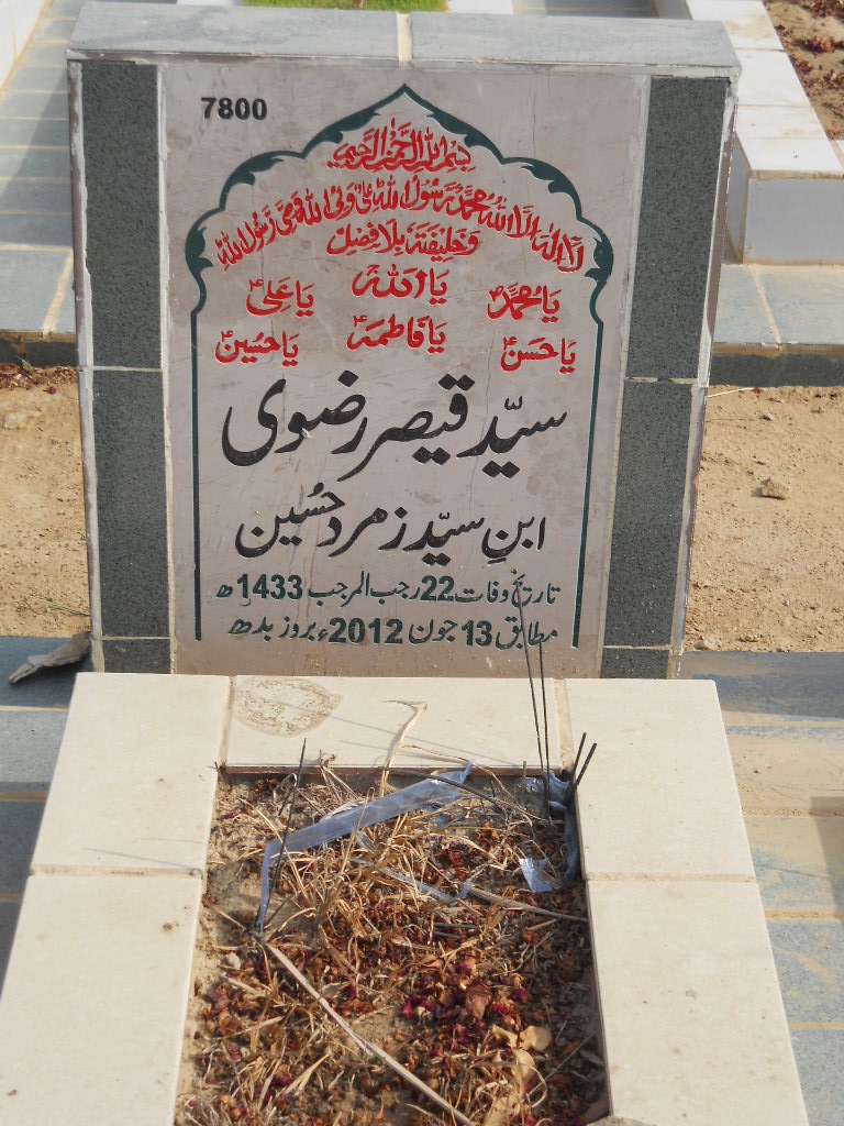 7800 – Syed Qaisar Rizvi