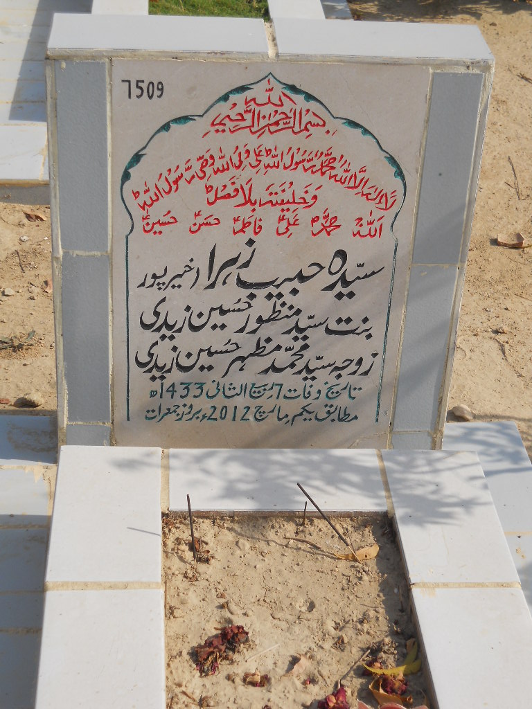 7509 – Syeda Habib Zehra