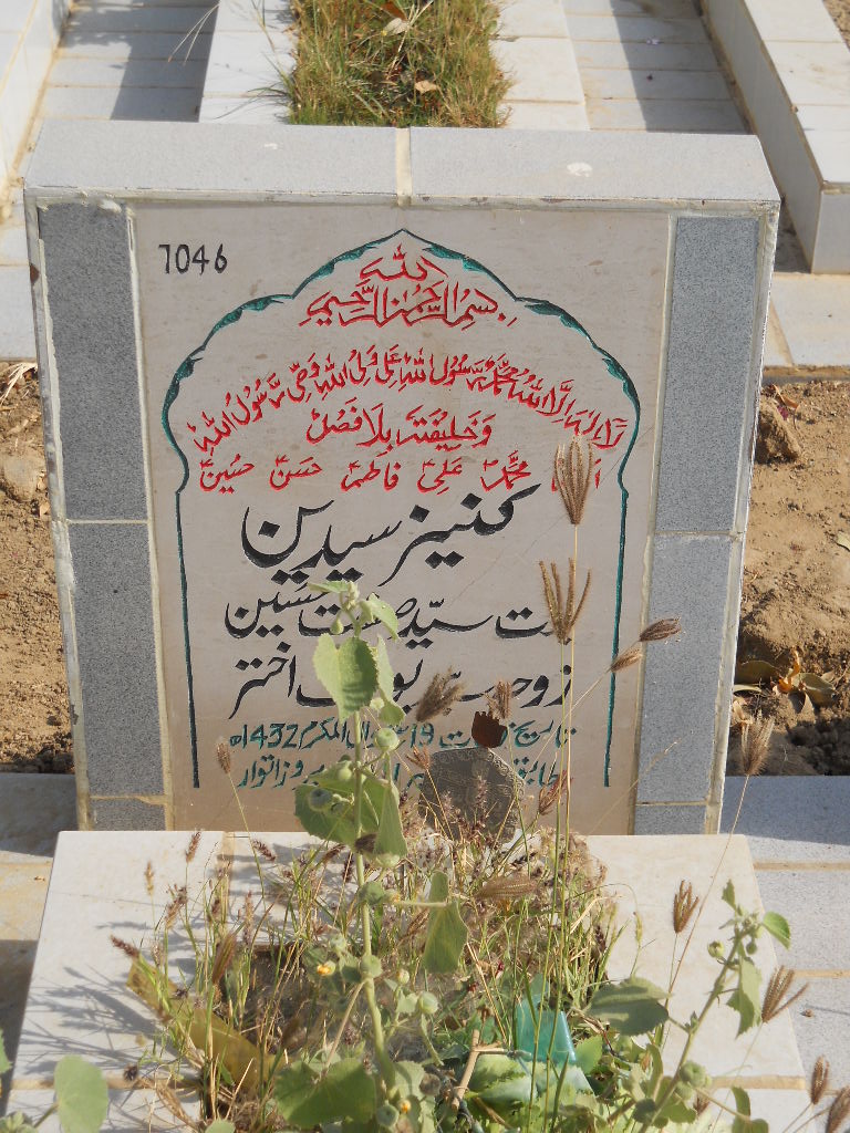 7046 – Kaneez Syedain