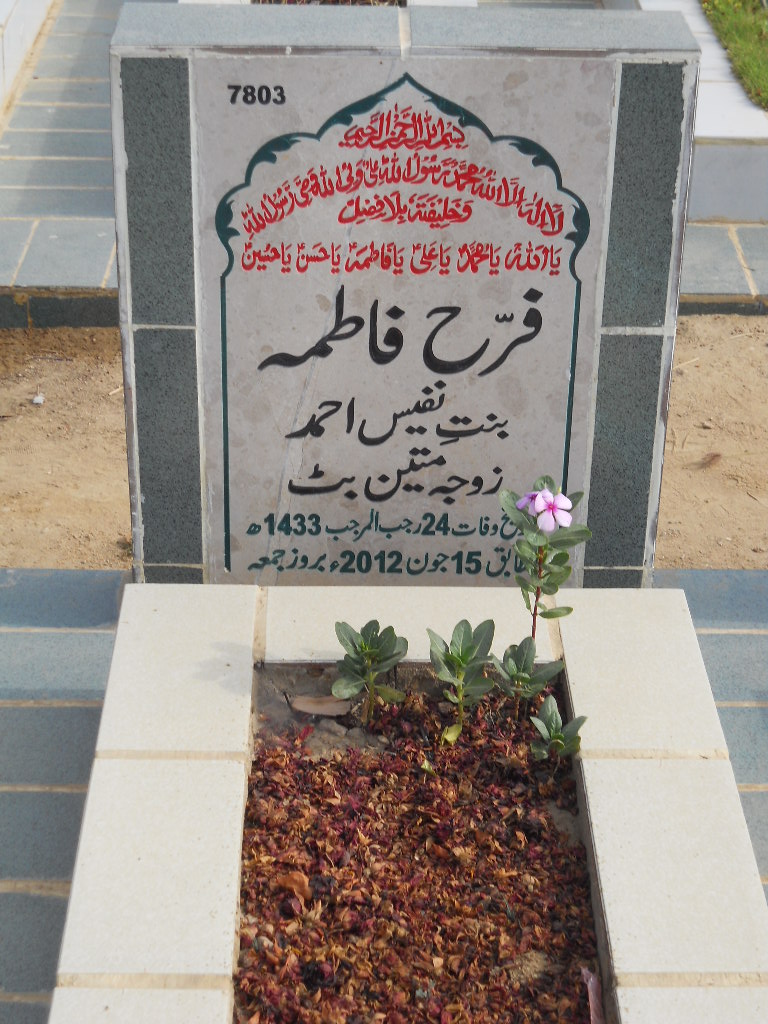 7803 – Farha Fatima