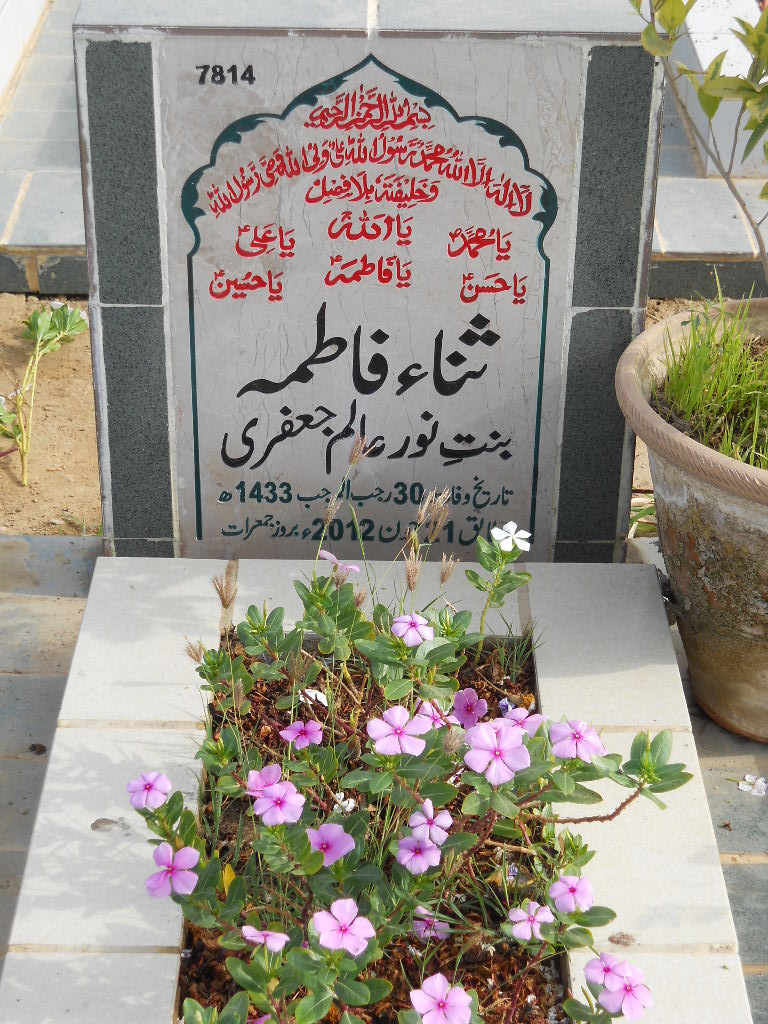 7814 – Sana Fatima