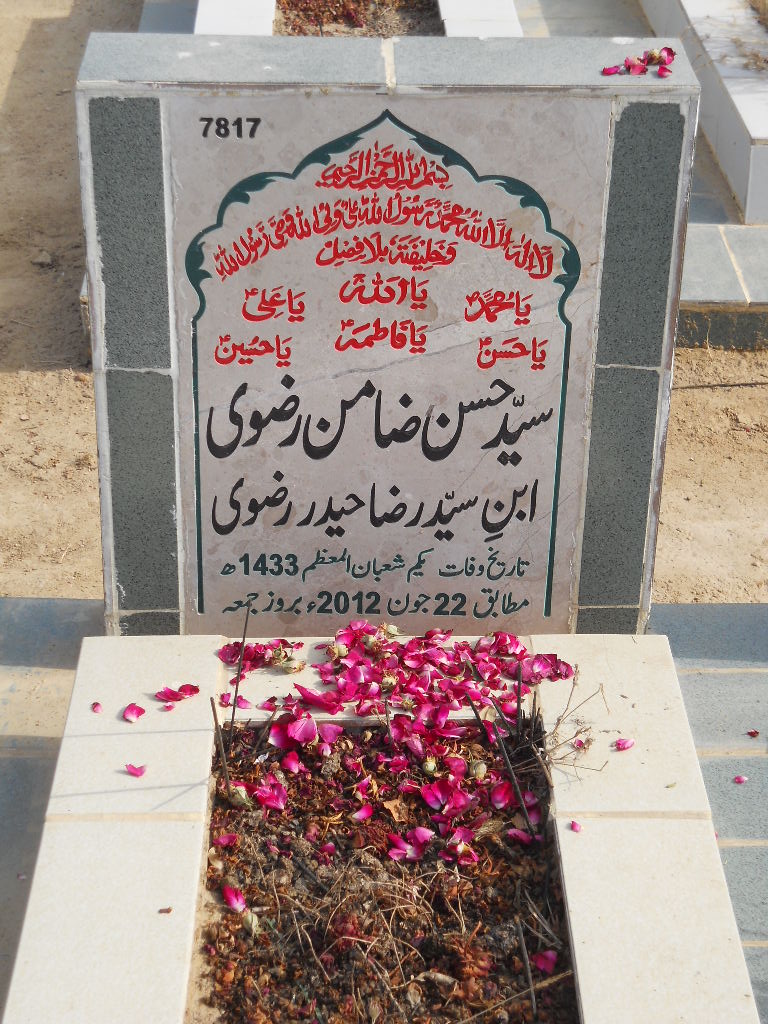 7817 – Syed Hasan Zamin Rizvi