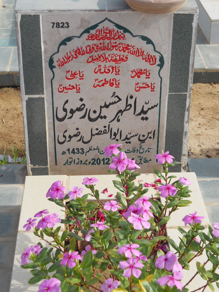 7823 – Syed Azhar Hussain Rizvi