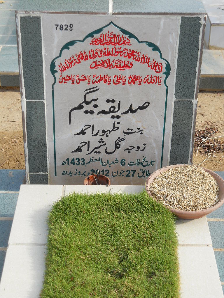 7828 – Siddiqa Begum